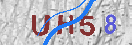 Картинка CAPTCHA